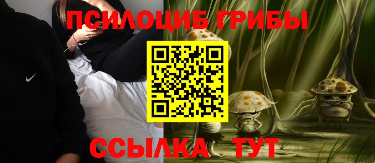 Галлюциногенные грибы Cubensis Ирбит
